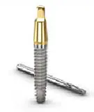 Biohorizon Implant
